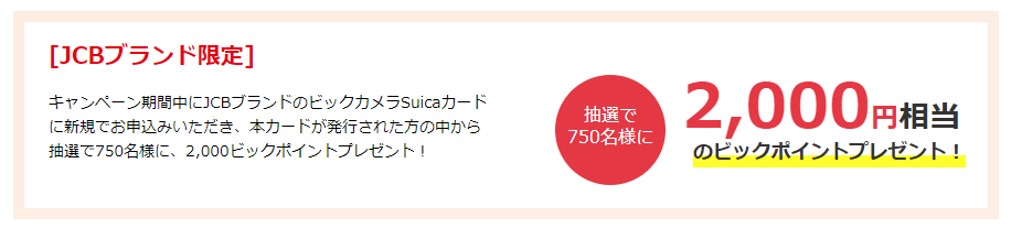 ズボン ティーンエイジャー マウント Jcb ビックカメラ Iyashido Jp